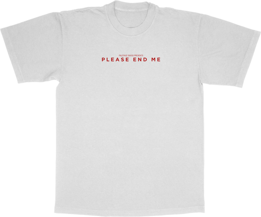 PLEASE END ME POSTER SHIRT